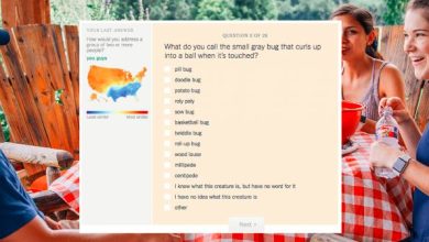 new york time dialect quiz