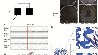 pak3.com link review