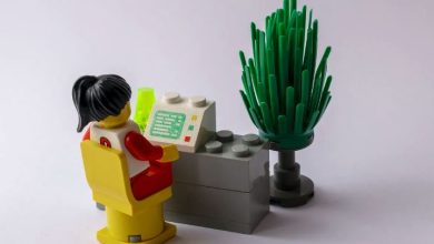 realimmiguide review guide