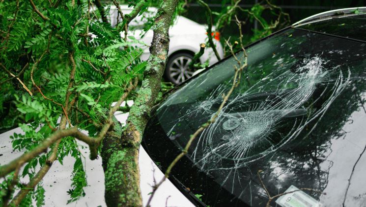 tips for insuring an electric car eng.sematskill.com