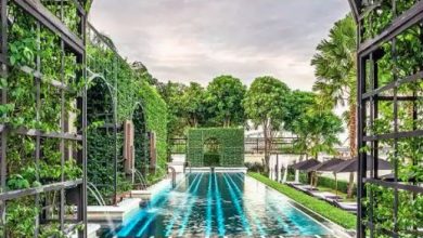 trazila.com accomodation