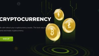 what is Borodex.com Crypto Scam ?