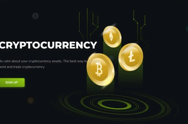 what is Borodex.com Crypto Scam ?