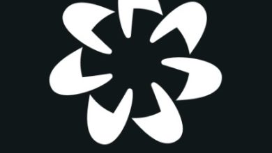 Worldcoin App Download for Android