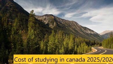 Cost of studying in canada 2025/2026