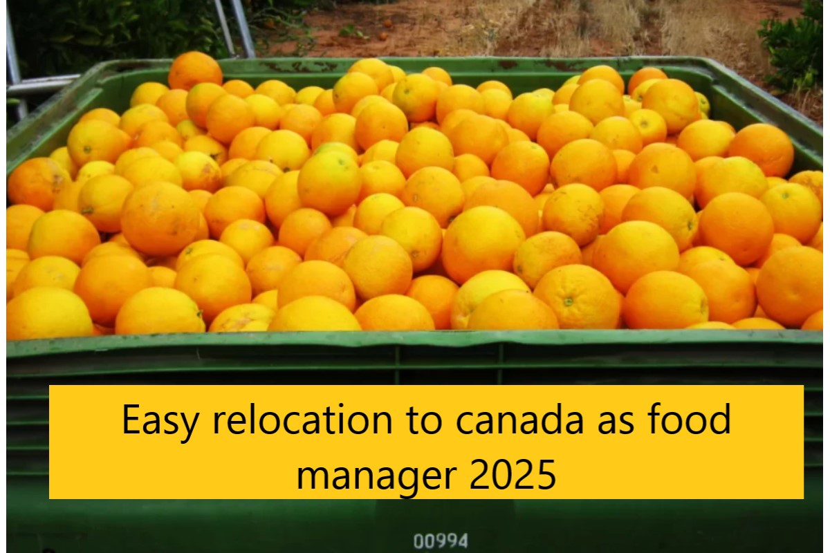 Easy relocation to canada as food manager 2025