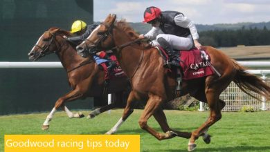 Goodwood racing tips today