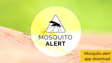 Mosquito alert app download