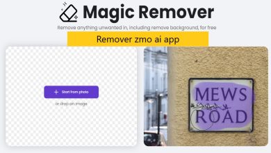 Remover zmo ai app