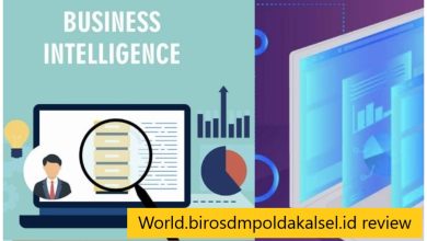 World.birosdmpoldakalsel.id review
