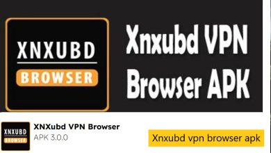 Xnxubd vpn browser apk