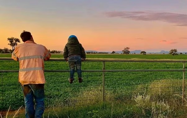 Farmonline Weather App Download