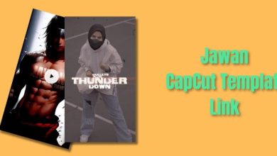 Jawan CapCut Template link download