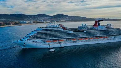 Luxury Cruising for Edo People Abroad in 2023