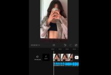 papi papi capcut template