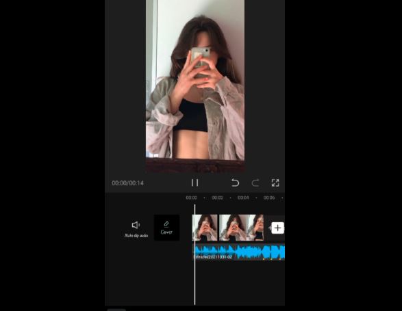 papi papi capcut template