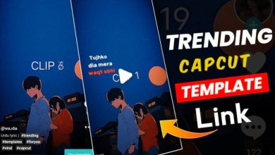 tujhko diya mera waqt sabhi capcut template