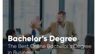 Best online business degree programs accredited 2023/2024