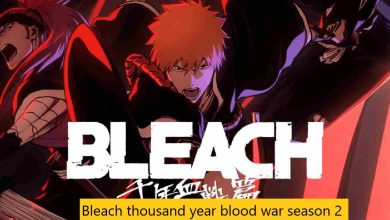Bleach thousand year blood war season 2