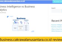 Business.cakrawalanusantara.co.id review