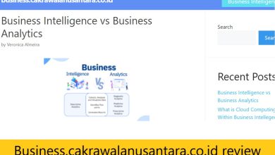 Business.cakrawalanusantara.co.id review