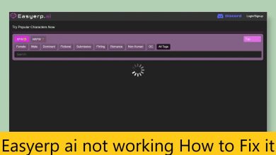 Easyerp ai not working How to Fix it