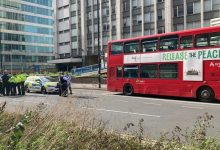 Girl 15 Stabbed Death in Croydon