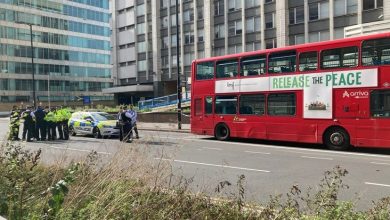 Girl 15 Stabbed Death in Croydon