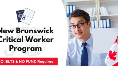 New brunswick critical worker pilot