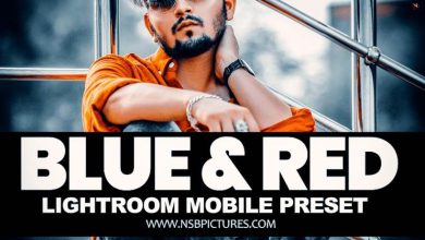 hamza vfx lightroom presets