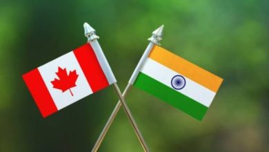 canada suspends indian visa online