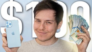 how i turned $100 into $10000 in just 30 days sebofeducation.com