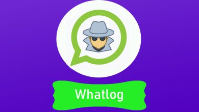 gb maza whatsapp tracker