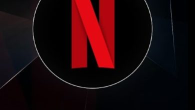 Netflix Mirror App Download