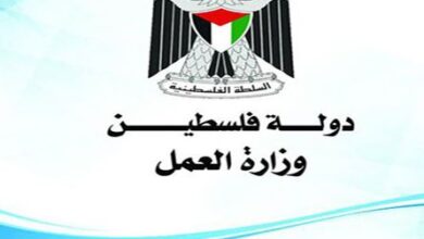 تحديث بيانات وزارة العمل غزة mol.ps