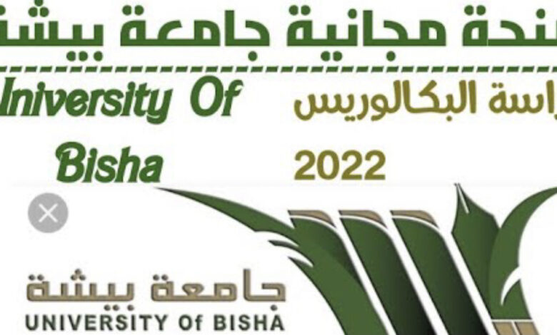 موقع جامعة بيشه