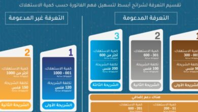 رابط دعم الكهرباء الأردن 2022