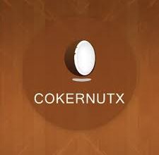 تحميل تطبيق متجر cokernutx