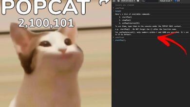 تحميل برنامج popcat hack