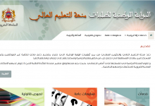 البوابة الوطنية لطلبات منحة التعليم العالي