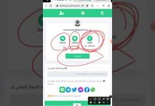 الربح من برنامج وي ويلث