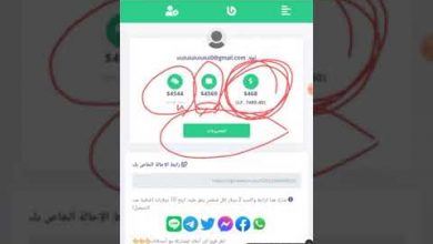 الربح من برنامج وي ويلث