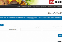 موقع دعم مصر