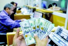رابط فحص 100 دولار شهر 8