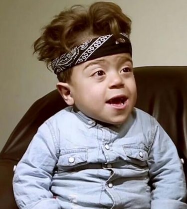 يحيى الزعبي ويكيبيديا