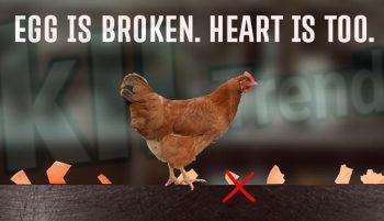 تحميل لعبة  egg is broken