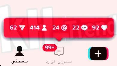 tokcounter عداد متابعين تيك توك