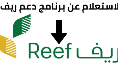 رابط استعلام دعم ريف برقم الهوية الوطنية reef.gov.sa وشروط التسجيل