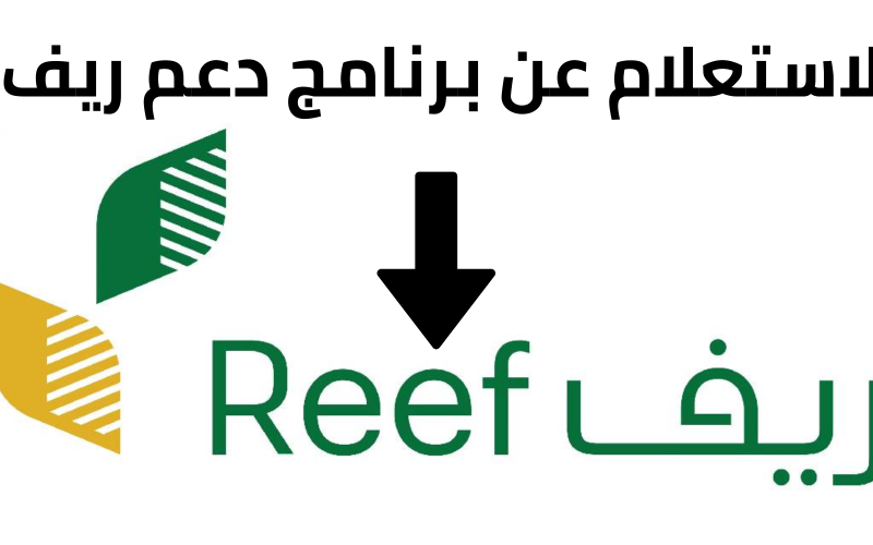 رابط استعلام دعم ريف برقم الهوية الوطنية reef.gov.sa وشروط التسجيل